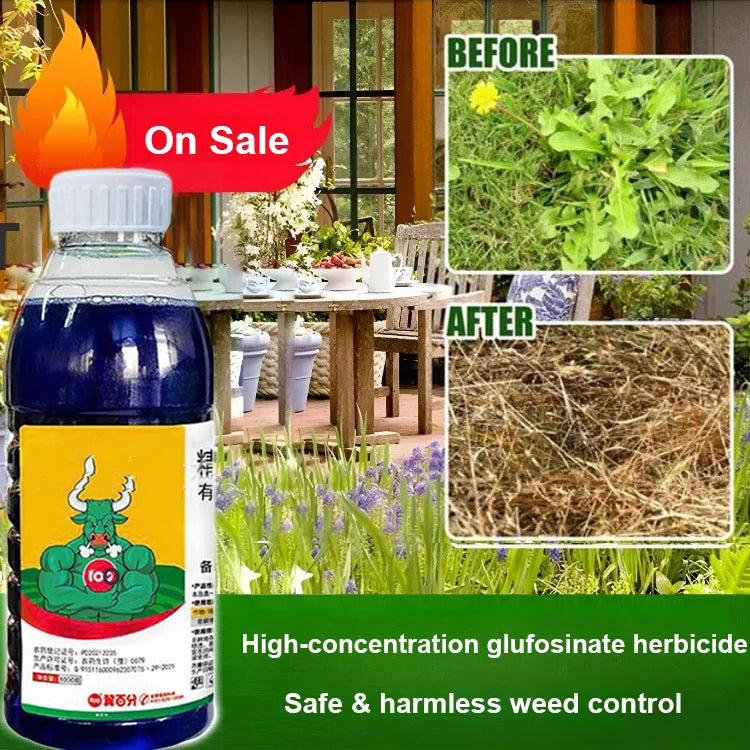 High Concentration Glufosinate Herbicide (Buy 1 Get 1 Free)all type grass