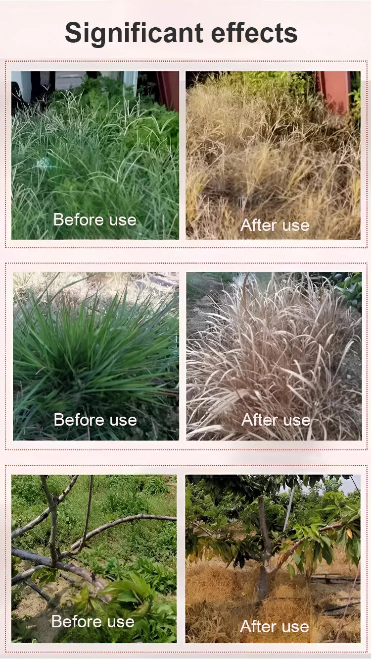 High Concentration Glufosinate Herbicide (Buy 1 Get 1 Free)all type grass