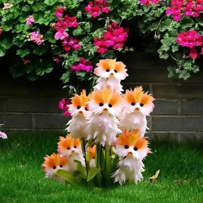 🐱Magical plants! 🌈Cat's eye dazzling seeds + Free Organic Pot mix