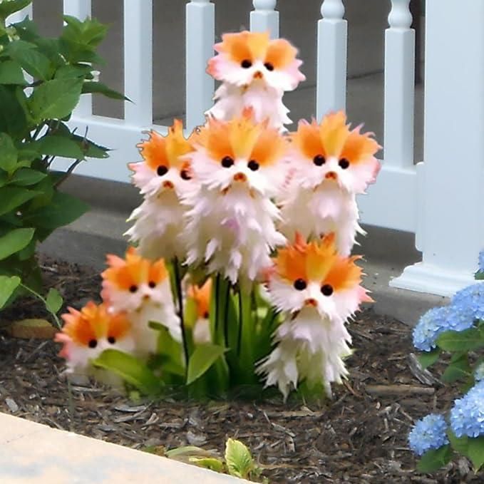 🐱Magical plants! 🌈Cat's eye dazzling seeds + Free Organic Pot mix
