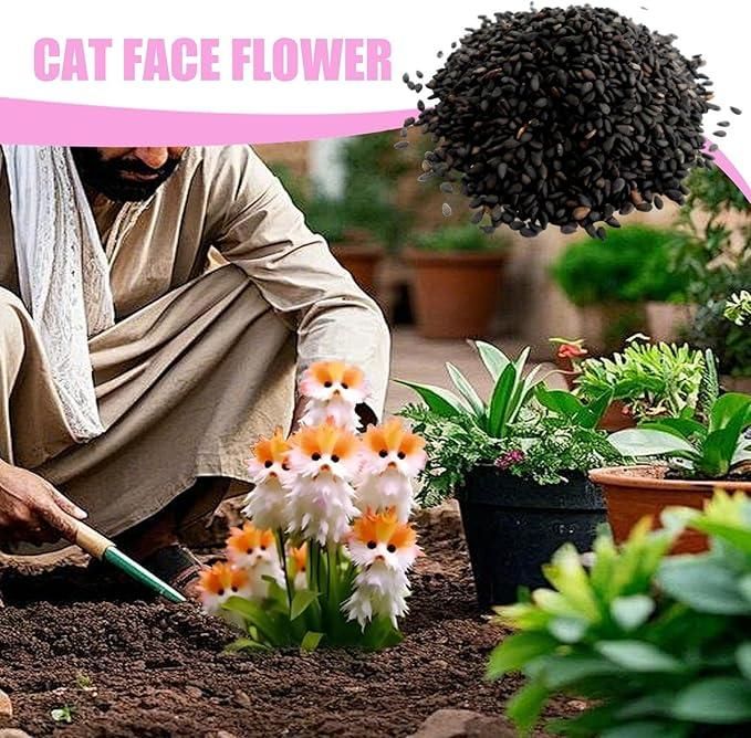 🐱Magical plants! 🌈Cat's eye dazzling seeds + Free Organic Pot mix