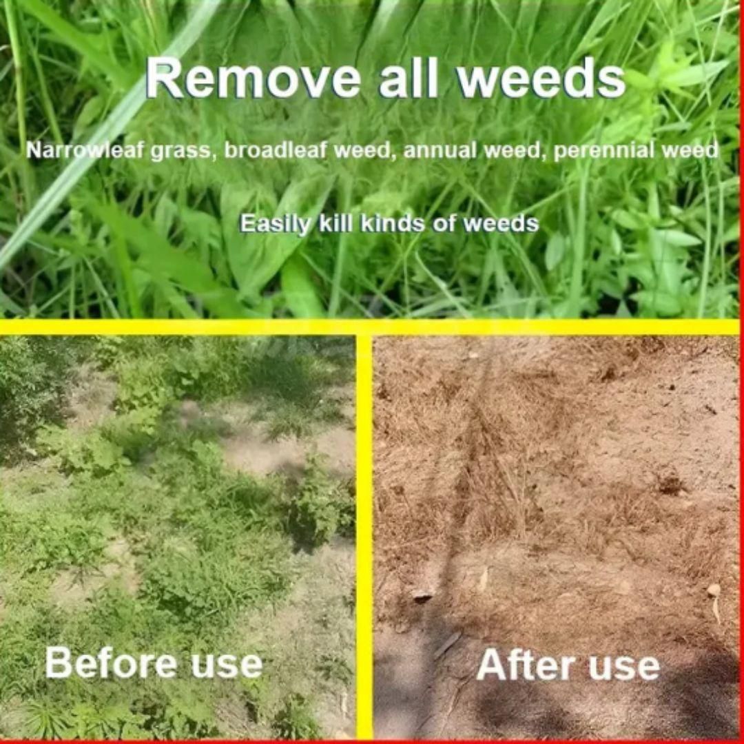 High Concentration Glufosinate Herbicide (Buy 1 Get 1 Free)all type grass