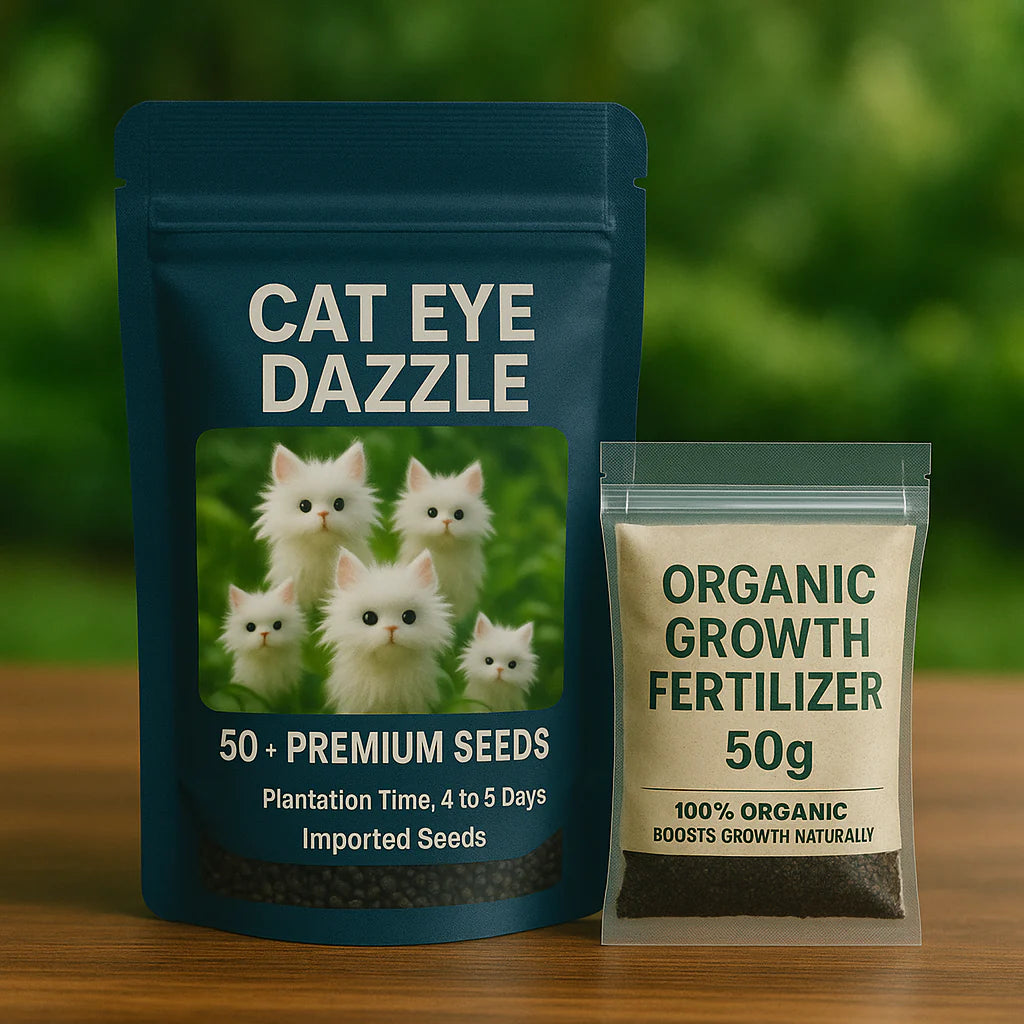 🐱Magical plants! 🌈Cat's eye dazzling seeds + Free Organic Pot mix